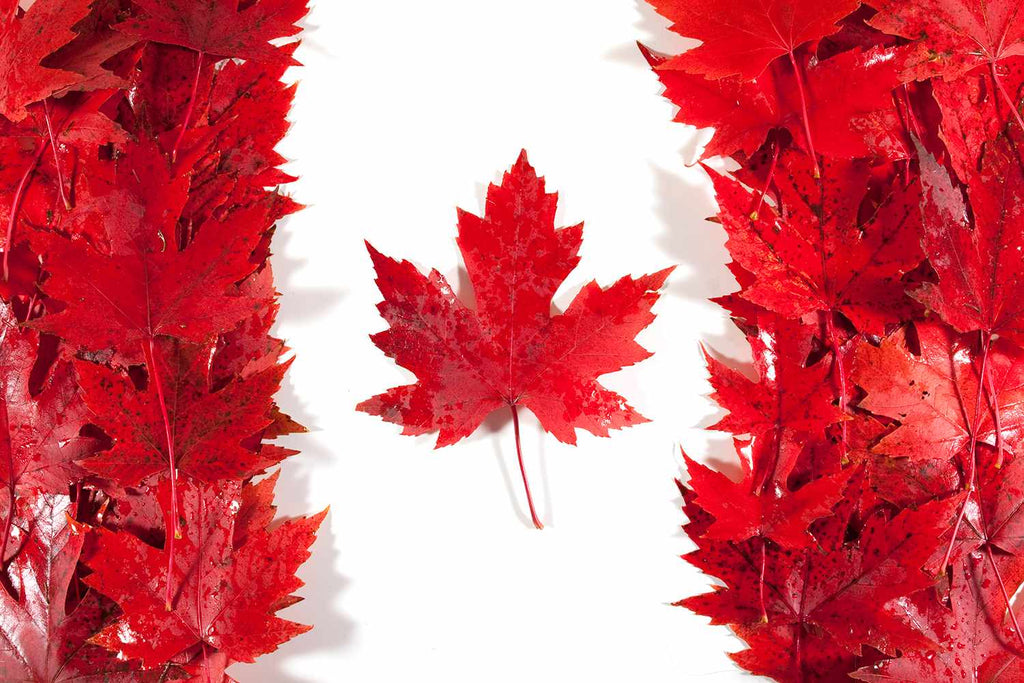 Why Choose A Canadian-made Mattress