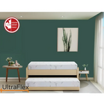 Wooden trundle bed with two white mattresses in a green room.